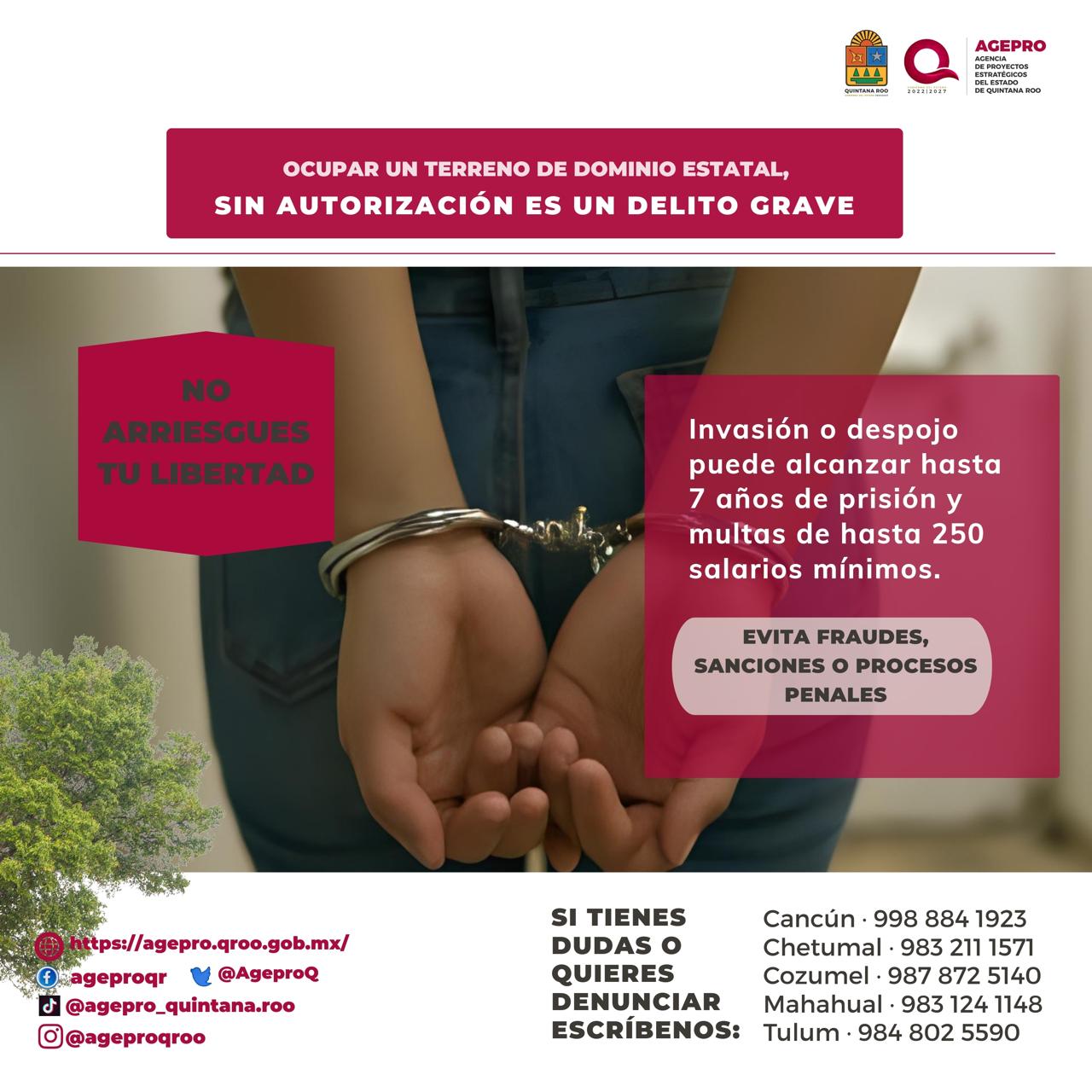 Google search engine